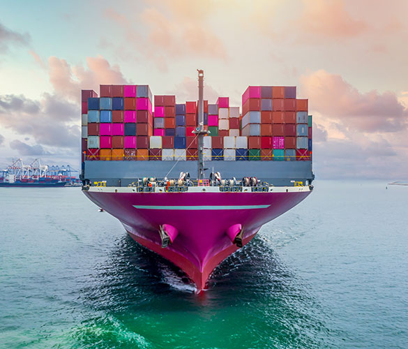 Consultas frecuentes